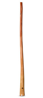 Wix Stix Didgeridoo (WS139)